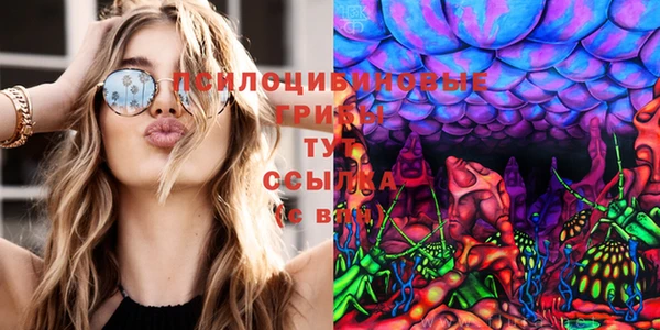 mix Ельня