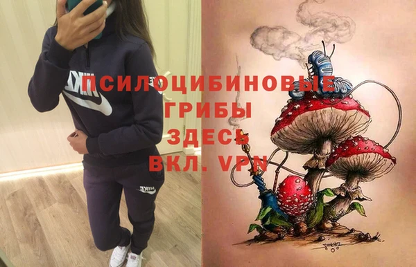 mix Ельня