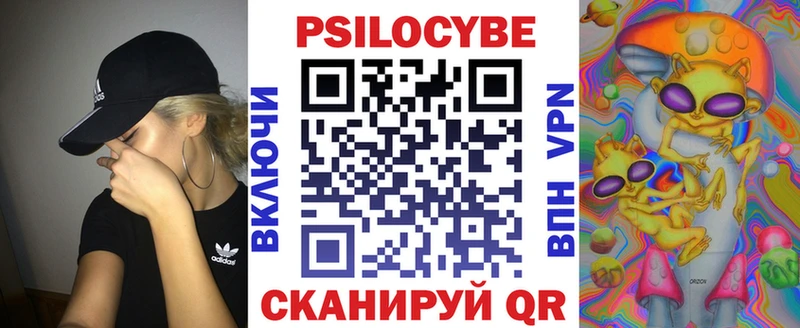 маркетплейс телеграм  Кызыл  Псилоцибиновые грибы Magic Shrooms 