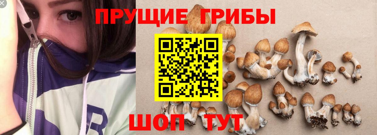 Кызыл  закладки  Вход с VPN  Галлюциногенные грибы мухоморы 